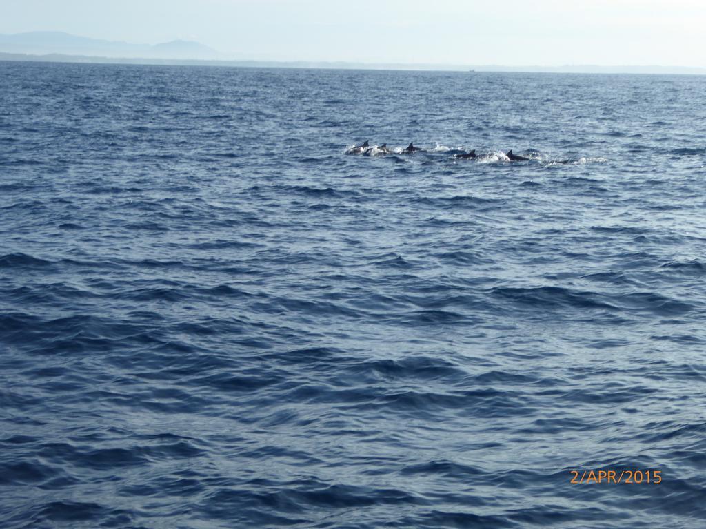 Paradise Beach Resort & Diving School Mirissa Exterior foto